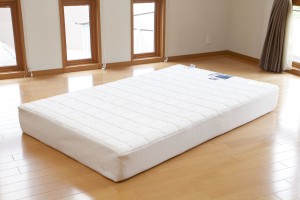 magniflex　T75